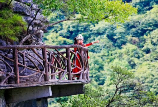 恩施地心谷景区一日游【酒店免费接送  纯玩无购物】【十多年电商操作经验，全年无投诉，游玩更畅快！】