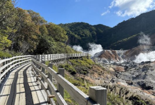 日本登别温泉镇-登别熊牧场-伊达时代村【北海道中文专车】【中文专车出行，景点灵活调整，打卡经典，游玩自己定义，无需等待，专属贴心服务，尽享惬意旅程】