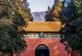 明孝陵私家团深度讲解 走进大明风华【人工讲解，走进历史，不虚此行】