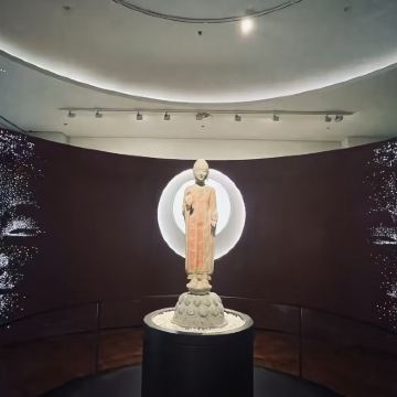 青州博物馆【齐鲁说】2小时人工精讲 多场次 含蓝牙耳麦