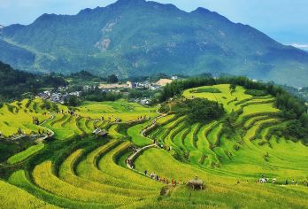 2人起私家团云和梯田古堰画乡一日游丽水上门接送【所选城市市区免费上门接送，方便快捷，省时省力（时间可微调）】