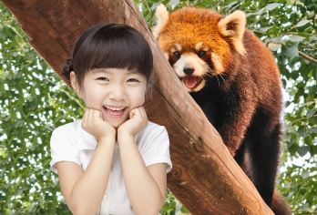 北京动物园+八达岭长城一日游【精选小团◉亲子甄选◉专车接送】【[臻享品质]24H专业客服在线，私密性高、灵活性强、一家一团、路线多样化带给您不一样的旅行体验！】