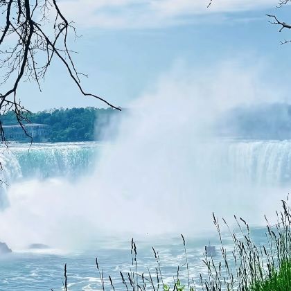 不超过13人的小团体|多伦多往返尼亚加拉瀑布一日游-TF1