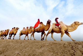 宁夏中卫起止一日游沙坡头+腾格里沙漠+66号公路一日游嗨小团【[专注小团]一年五季专注于精致小团，深挖热门线路的精致线路，赠送接送中卫飞机/火车服务】