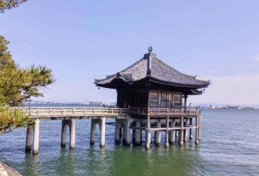 日本京都-琵琶湖-彦根城-彦根港【中文专车 舒适纯净】【中文专车出行，景点灵活调整，打卡经典，游玩自己定义，无需等待，专属贴心服务，尽享惬意旅程】