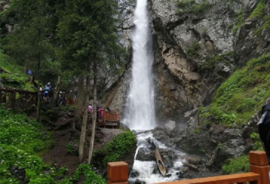 乌鲁木齐+南山牧场一日游【直达景区+品质纯玩+贴心服务】【[精华景点]乌鲁木齐的后花园，避暑胜地】