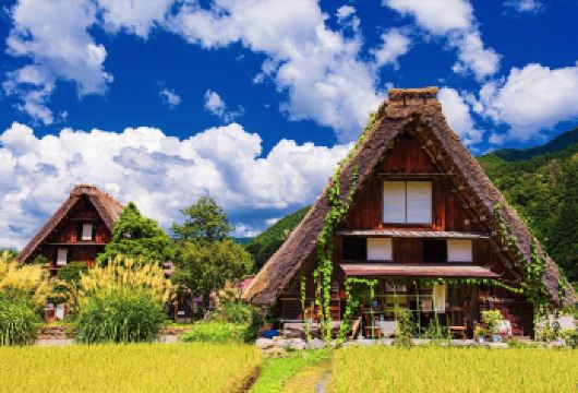 高山市＆白川乡一日游【远离名古屋的熙攘市区，走访高山市与白川乡，来一趟历史文化巡礼】