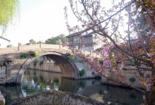 苏州拙政园+留园+虎丘+平江路一日游【包车+英文导游含门票】【[英文导游]经验丰富专职英文导游，全程讲解，深度解读园林艺术】