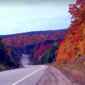加拿大渥太华出发：阿尔冈金省立      公园一日游