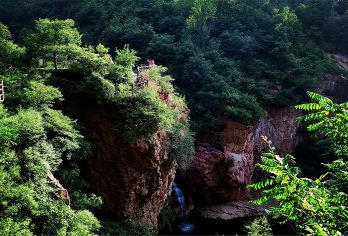 伏羲大峡谷一日游【含门票+往返车费+保险】【这里气候温润，四季分明，景区植被茂密，物种繁多，绿树掩映，花木扶疏】
