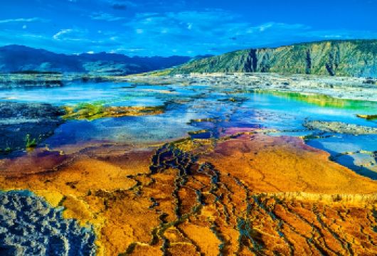 美国黄石国家公园+大蒂顿国家公园+杰克逊湖一日游【黄石国家公园深度一日游[中文司导+行程灵活+专车接送]】