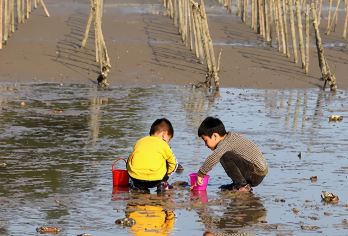 厦门：小嶝岛赶海 +五缘湾帆船 一日游私家团4-6人@【（畅游鼓浪屿+打卡《千与千寻》海上列车+帆船赶海乐趣体验+360度超大型闽南传奇秀+赠送海鲜大咖锅】