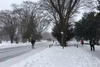 日本北海道+洞爷湖+登别熊牧场一日游/行程可调-可定制多日【包车一日游，解锁旅行新方式！独立车辆配备经验丰富的老司机，为您量身打造专属行程。】