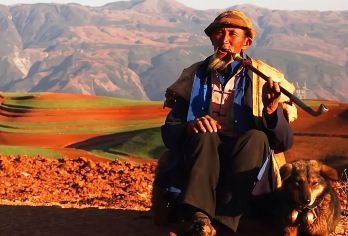 东川红土地一日游【【东川红土地/纯玩/精致小团】【[玩法]摄影天堂 ，自然滤镜，大自然的调色板，身临其境，领略红土高】