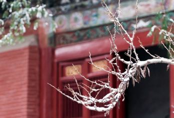 龙门石窟+洛阳博物馆+白马寺一日游【含门票+往返车费+保险】【龙门石窟是中国石刻艺术宝库之一，世界文化遗产、全国重点文物保护单位】