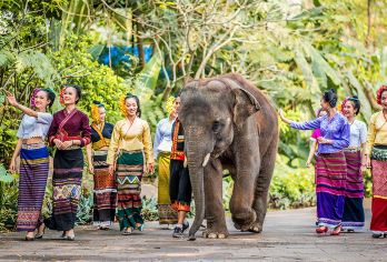西双版纳曼听御花园+傣族园一日游【精致小团+泼水狂欢】【[丰富玩乐]身临“傣王御花园”，梦回傣族园；】