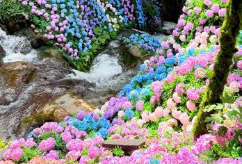 重渡沟风景区一日游【绿野仙踪 | 花海瀑布 | 休闲胜地】【正规旅游车队资质齐全，经验丰富，专业、专注、更贴心，细节彰显品质】