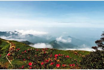 广西贺州+姑婆山+玉石林+酒店往返接送【当地司机，如果需要地陪，翻译等其他服务，可联系客服。】