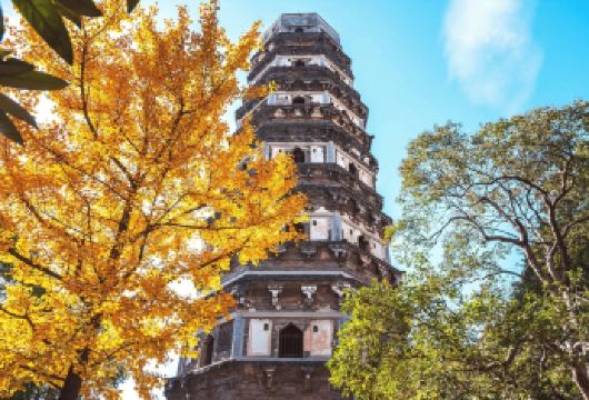 【18人园林专线】拙政园+寒山寺+虎丘+山塘街一日•狮子林选【此线路独立运营，严选高素质导游，追求品质，保证游玩质量，放心选择，安心出游。】