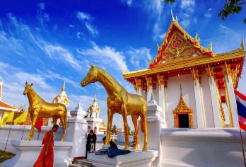 少林寺+白马寺一日游【独立包车、上门接送、多选车型】【上门接送解决您的交通问题，让您轻松出游！】