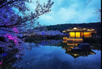 灵山大佛+灵山胜境+无锡市太湖鼋头渚风景区一日游【包车服务，行程路线灵活可调，省时、省心、省力。】