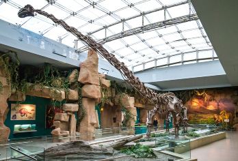 北京国家自然博物馆一日游【可选亲子研学团京状元导游深度讲解】【[深度讲解]让孩子深入了解自然构造，生物的演变】