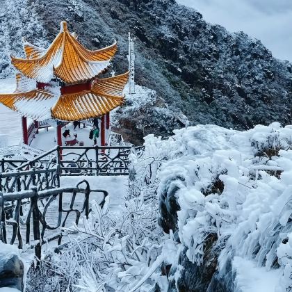 冬日【清远·冰雪金子山1日游】赏冰挂雾凇+挑战80度天梯