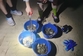 文昌淇水湾丨趣味赶海2小时丨领队带玩丨提供赶海工具丨捡螺抓蟹【纯玩赶海2小时提供赶海工具】