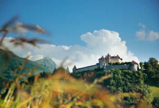 瑞士Kunstmuseum Appenzell【田园风情】【精品包车，私享空间，上门接送，轻松出行】