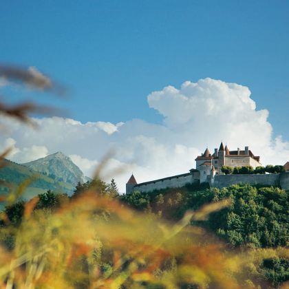 瑞士Kunstmuseum Appenzell【田园风情】