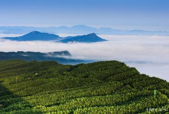 2人起私家团蜀南竹海李庄古镇一日游宜宾泸州上门接送【所选城市市区免费上门接送，方便快捷，省时省力（时间可微调）】