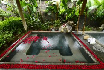 腾冲浴谷温泉，悦椿温泉，柏联温泉，荷花温泉一日游（上门接送）【[私人专享]：一对一专业司机贴心服务，独立用车，随走随停，轻松游玩！】