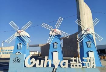 新疆盐湖景区+达坂城古镇景区+新疆古生态园汗血马基地一日游【[专车接送]专车无忧往返接送】