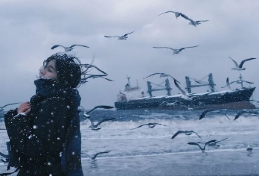 威海包车游|市区+荣成11大景观+布鲁维斯+火炬八街+天鹅湖【安全可靠：专业司机保障行车安全，适合商务、旅游等个性化需求。】