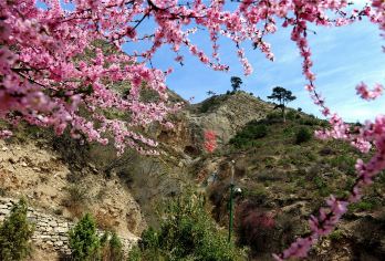 恒山+悬空寺登临+应县木塔一日游【30人精品小团&导游讲解】【[细节服务真诚]天天发团，经典景点全覆盖，全程陪同讲解;优质导游！】