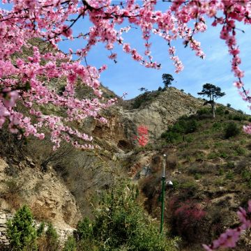 恒山+悬空寺+应县木塔一日游【春季踏青·精品团&导游讲解】
