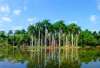 西双版纳傣族园+中科院热带植物园一日游【上门接送丨精品小团】【打卡版纳5A景点植物王国，体验傣族泼水狂欢；】