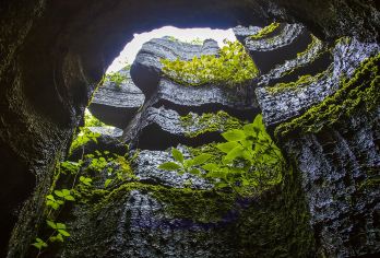 恩施梭布垭石林一日游【恩施市区往返交通+门票】【无任何购物店，无自费景点，感受真正的纯净一日游】