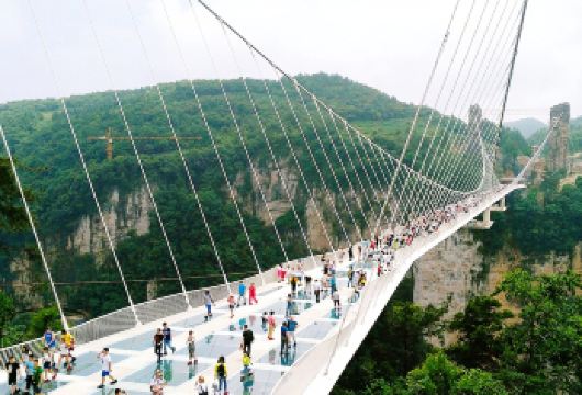 张家界大峡谷+大峡谷玻璃桥一日游【接送+门票+午餐+景交】【[郑重承诺]杜绝以低价吸引游客，带给游客物超所值的完美旅行】