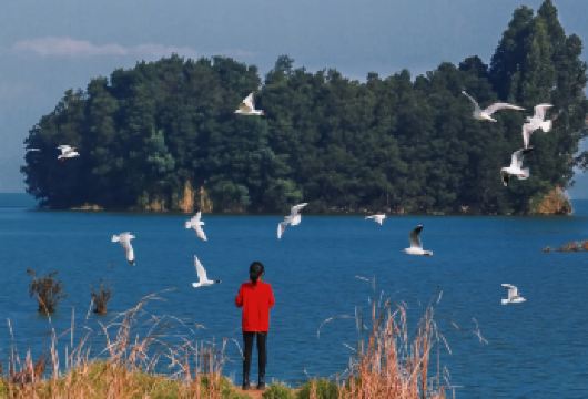 环湖网红路+滇池+干沟尾+沙堤村+滇池南岸沙滩主题公园一日游【[实力保障]昆明一日游集团品质严选线路，拥有自己的车队、司机，全程品质把控，专业一手资源】
