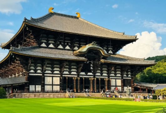 日本京都金阁寺+清水寺+伏见稻荷大社一日游【精选景点不走寻常路，纯玩不进店，无隐形消费！】
