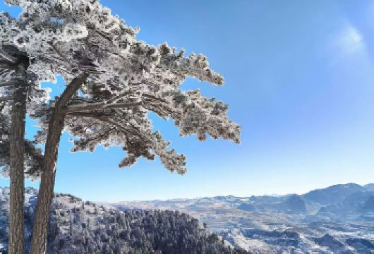 云冈+恒山+悬空寺甄选准新车※景点游玩不限时酒店上门接5号线【[精品包车一日游]全系车型均使用[精品车型]-车内干净卫生，司机服务热情贴心，大同市平城区范围上门接】