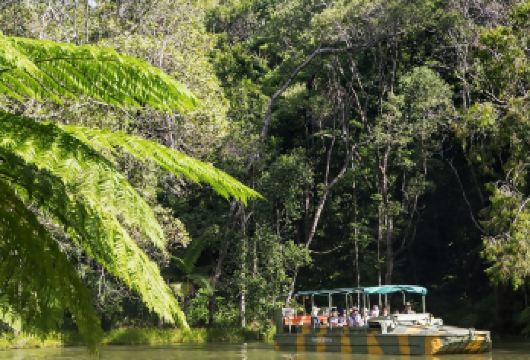 澳大利亚库兰达+缆车+火车+热带雨林公园之旅【含酒店接送】【搭乘库兰达观光火车前往雨林小镇，沿途欣赏甘蔗田与热带雨林交织的自然景观。】