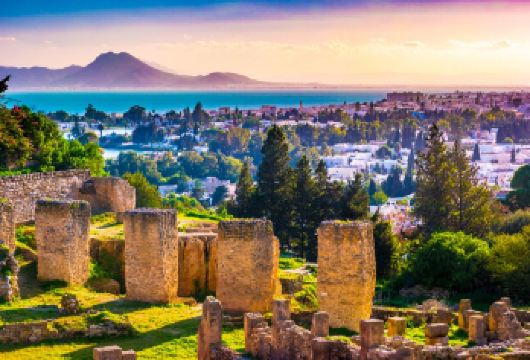 【中文司导包车游】突尼斯城+迦太基古城遗址+巴尔多国家博物馆【中文司机+酒店接送+贴心管家[畅游80+国家，800+城市]】