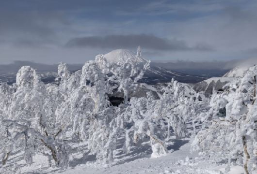 日本北海道洞爷湖-昭和新山-留寿都村【北海道中文专车】【中文专车出行，景点灵活调整，打卡经典，游玩自己定义，无需等待，专属贴心服务，尽享惬意旅程】