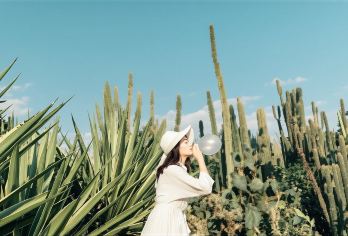 厦门植物园+南普陀+厦大一日游【纯玩·厦大进校·精致小团】【[贴心服务]24小时服务~有问必答~犹豫~市区接送】