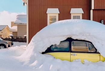 日本札幌往返旭川富良野美瑛经典网红景点打卡-可包车-精选【专属客服和本地中文司机，一家一团包车】