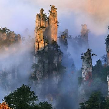 【巨划算】张家界国家森林公园（阿凡达）一日游 极至性价比