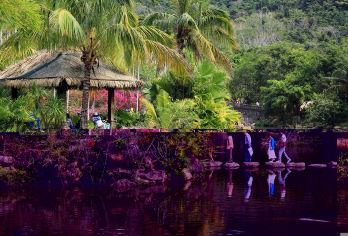 海南槟榔谷黎苗文化旅游区+呀诺达热带雨林一日游【槟榔谷黎苗文化旅游区+呀诺达热带雨林一日游[门票/往返接送/呀诺达上山索道[下山索道不含]】