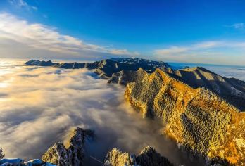 【冬游宁夏】银川贺兰山国家森林公园+酒庄品鉴一日游【私家团】【亮点一：银川市区酒店上门接送/轻松无忧懒人出行/纯玩无购物】